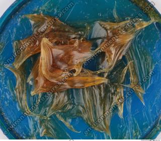 Photo Texture of Grease 0021